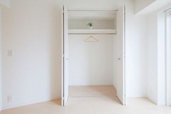 Large closet with open doors